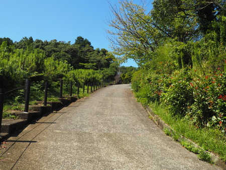 ��¼�ԡ���١�ȭ��������߲�P9241382