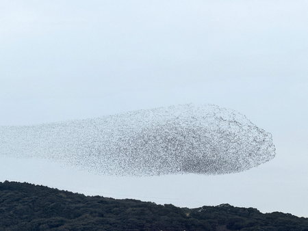 Ļ���緲C������_c