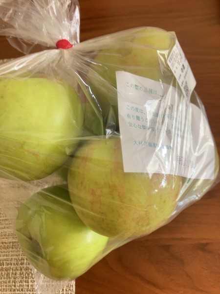 2025.08.16¡¡Âç¼»Ô¡¡»ûÆ»¤Ê¤·±à¤ÎÀĤê¤ó¤´IMG_2111