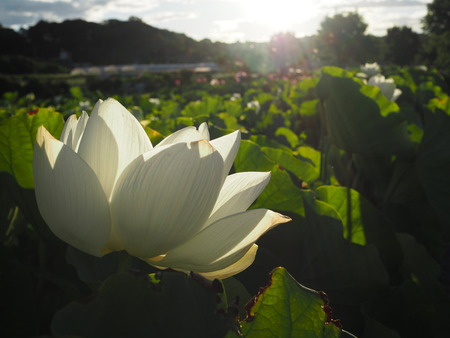 2025.07.26������ϥ���P7270017