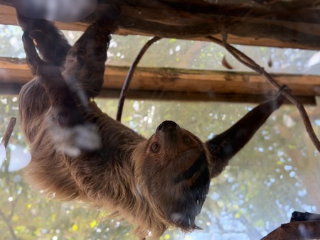 Ĺ��Х����ѡ������ѥ�IMG_0751