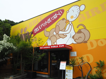 7-Ĺºê¥Ð¥¤¥ª¥Ñ¡¼¥¯PAW P6050845