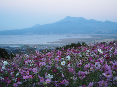 6−白木峰高原PA201155