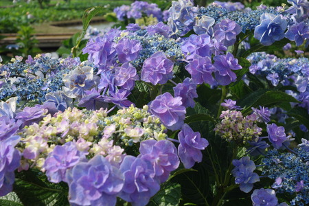 4�����������ϥ���DSC08817