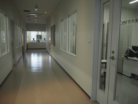 2021.10.31 Ĺºê»Ô¶²ÎµÇîʪ´ÛPA295609