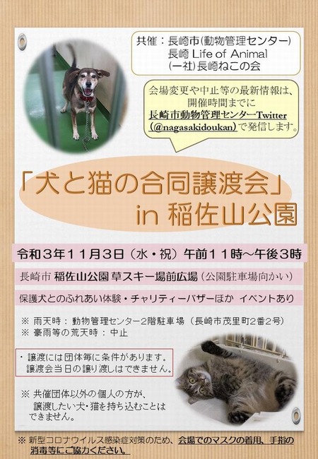 犬のと猫の合同譲渡会