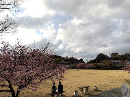 �׸�����β��ź�IMG_9914_