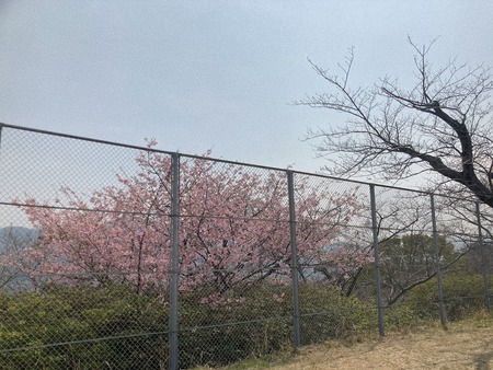2023.03.12 長崎市 立山公園IMG_4335