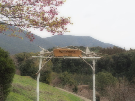 ��¼�ԡ���μ¡����ź�P3081657