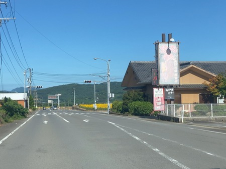 2025.07.25 雲仙市愛野町 ひまわり畑IMG_8043