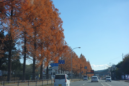 1-����DSC02494