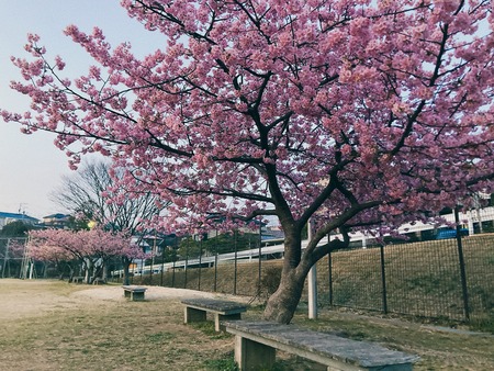 2022.03.04 大村市 久原公園IMG_0299