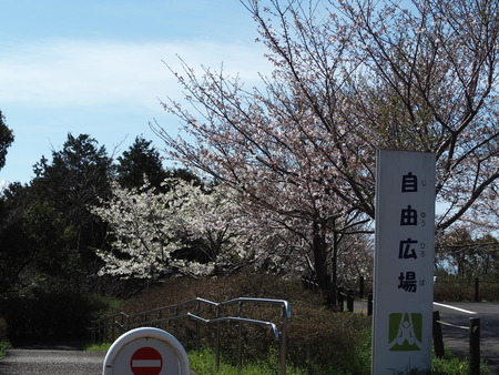 2023.03.24 諌早市 白木峰高原P1018202