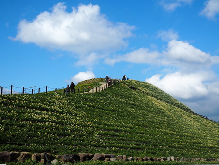 Ĺ�������ꡡ����ε֡���¦Ÿ˾��P1012021