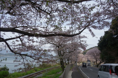 8-多良見町古川DSC05800