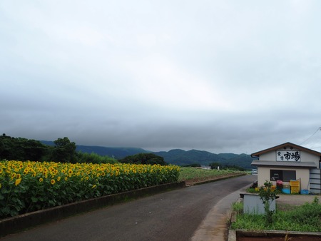 18-愛野町 産地直売やさい村裏P7214065