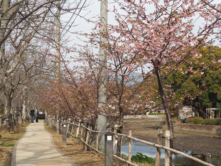 2023.03.04����¼����������P1011998