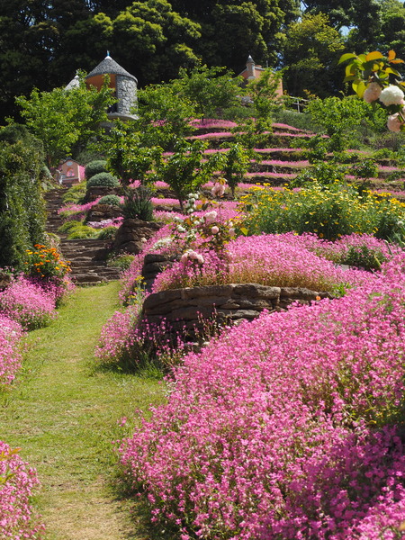 2023.04.22 長崎市琴海 ハッピーテラスP1015656