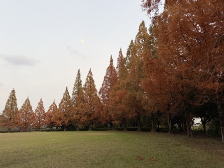 �ڻ����������������᥿������������IMG_6860