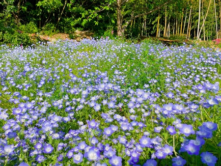 2022.04.19 ����Ը��Į���ھ�̾�β�ȪIMG_5706