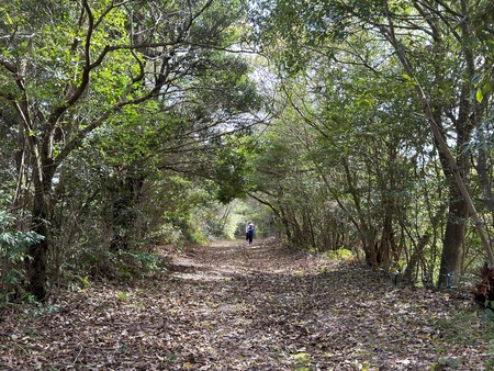 �Ϥ���־��ο�IMG_0345