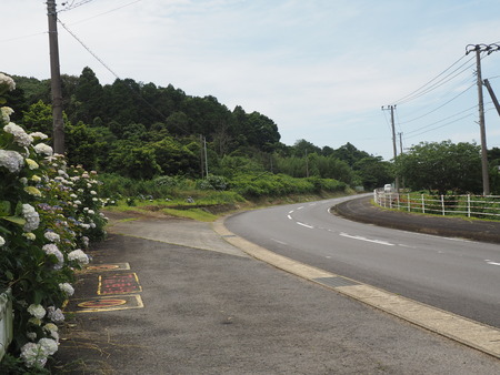 2023.06.10������Կ���Į���ä��������ࡡ���Ĥ�����P1019900