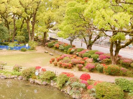 2022.04.13 �������IMG_4839