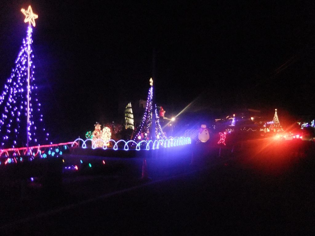 しあわせ街道」のクリスマスイルミネーション（大村市萱瀬） : 長崎
