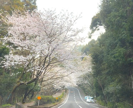 ����Կ���Į�����Υȥ�ͥ�IMG_6073 - ���ԡ�