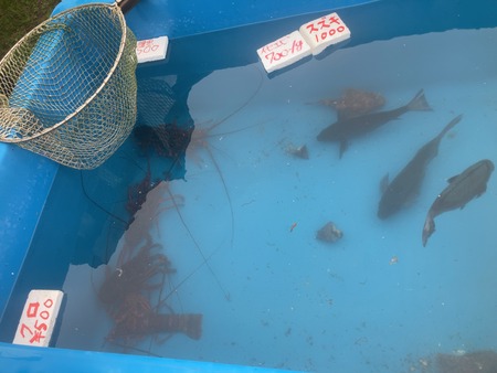 2024.04.27 �˲���ī��IMG_7101