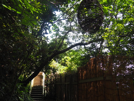 2023.07.29Ĺ��԰˲��硡�ץ쥸�㡼�������ɥߥ塼������P1010808