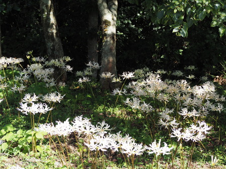 ��¼�ԡ���١�ȭ��������߲�P9241411