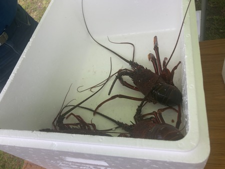 2024.04.27���˲���ī�ԥ�������IMG_7098