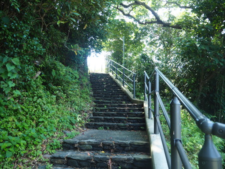 31-Ĺ��Բ�����Į�������ƲP7284737