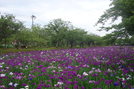 ������¼����DSC08276