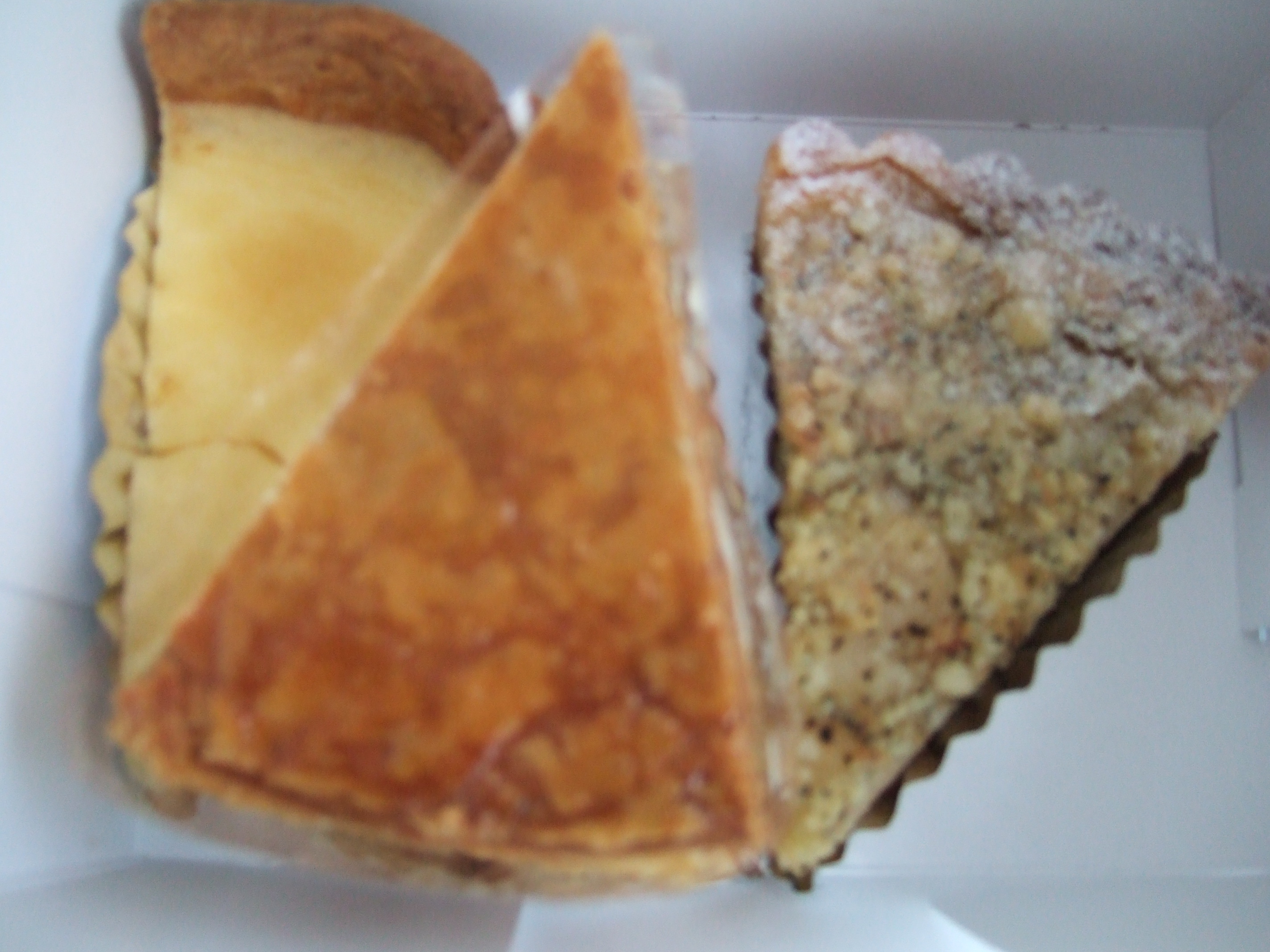 諫早市 タルトがおいしい ミャンミャン 長崎 諌早市民 ふくちゃんの食う 寝る 遊ぶ日記 １