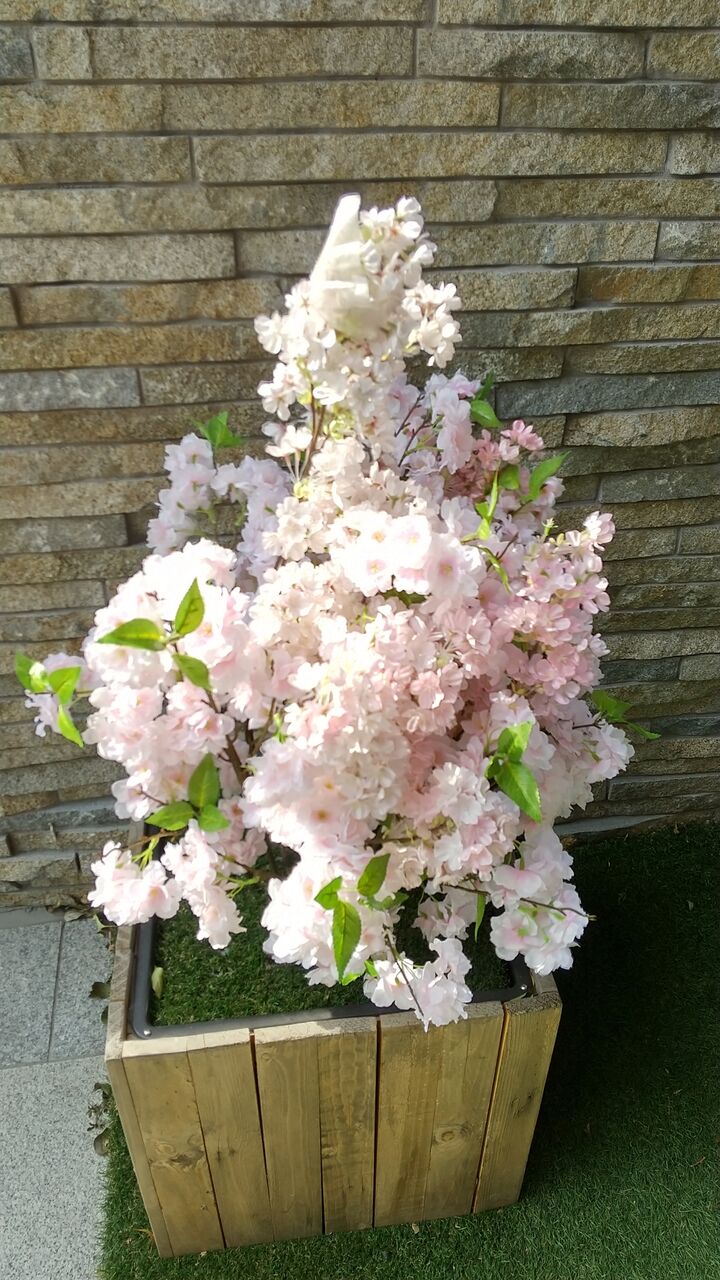 サクラスカイガーデン かおりの音活