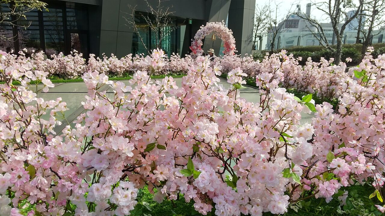 サクラスカイガーデン かおりの音活