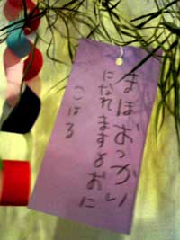 Image304