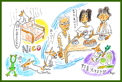 140719yokoyama 140719yokoyama