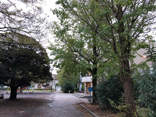 2019fall_kawasaki-shimin22