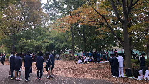 shinjinsen11