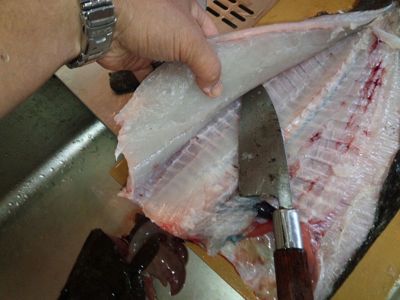 ヒラメのさばき方 Fukufukumanの房総ルアー釣り日記