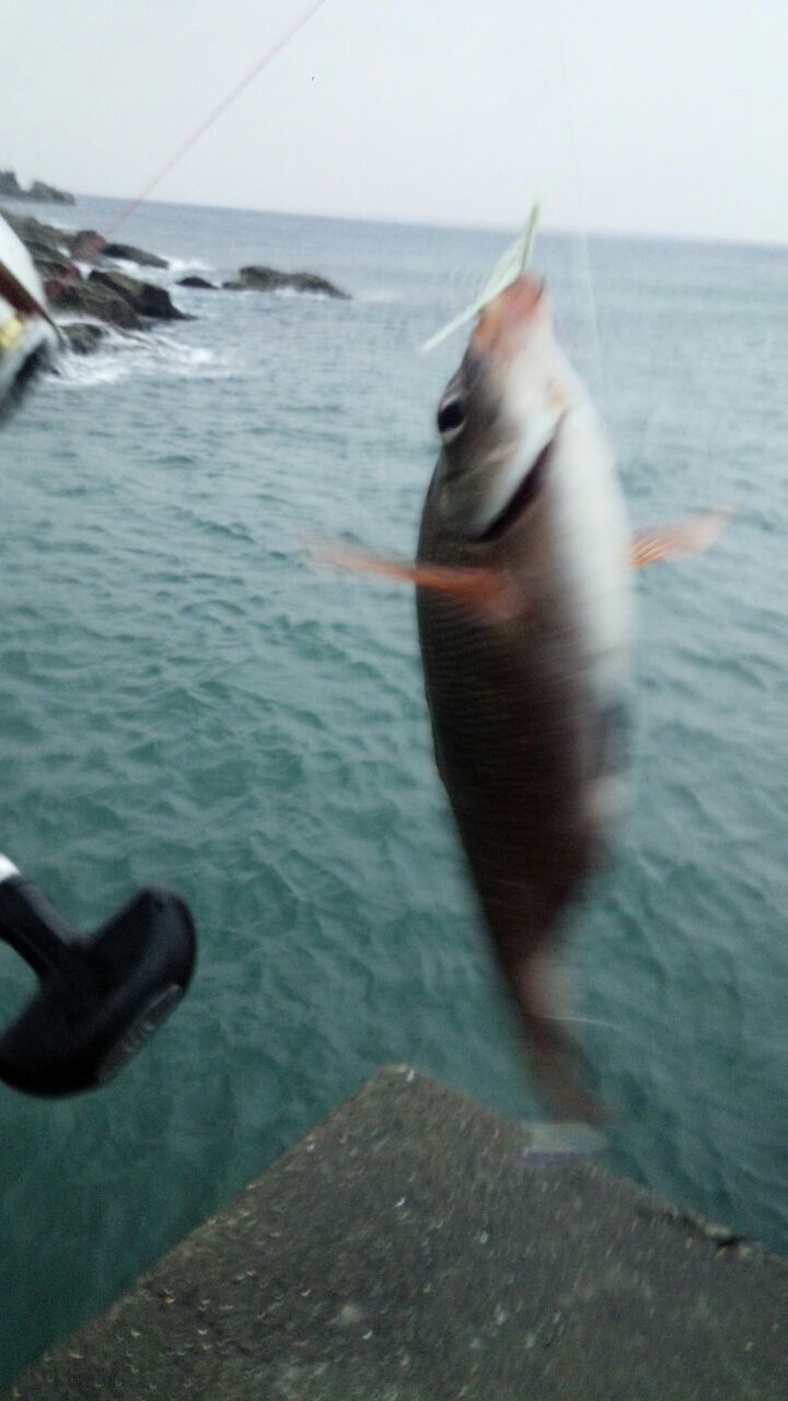 ジグサビキの使い方 Fukufukumanの房総ルアー釣り日記