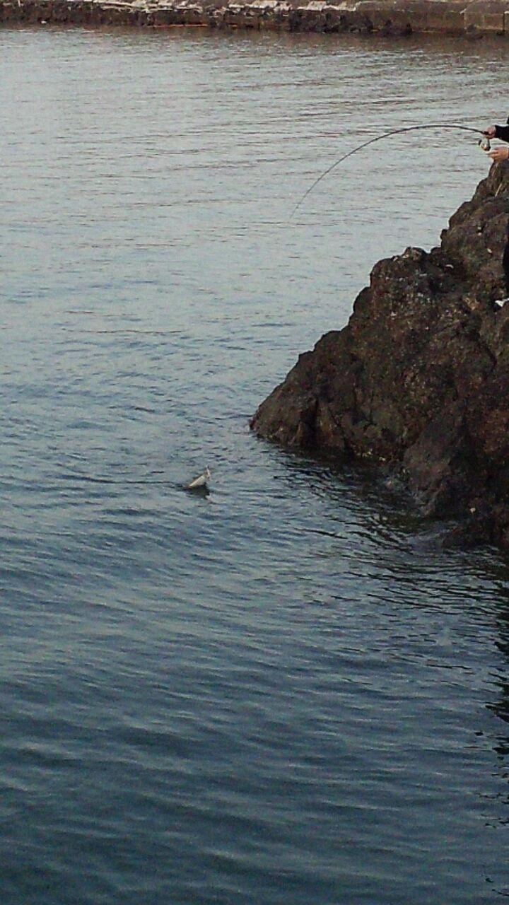 房総鴨川港ヒラメ勝負 Fukufukumanの房総ルアー釣り日記