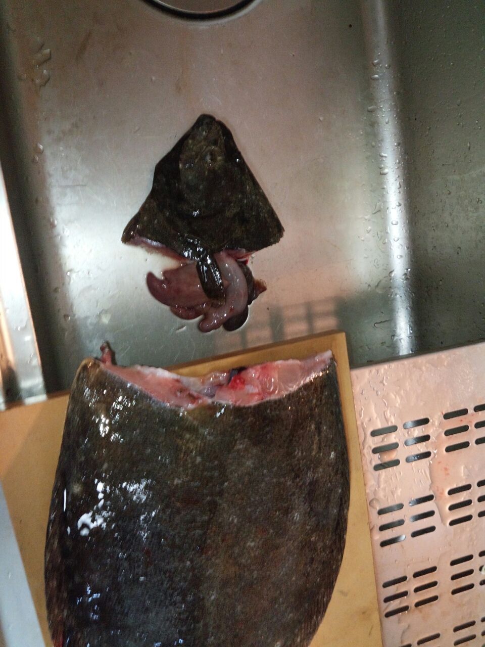 ヒラメのさばき方 Fukufukumanの房総ルアー釣り日記