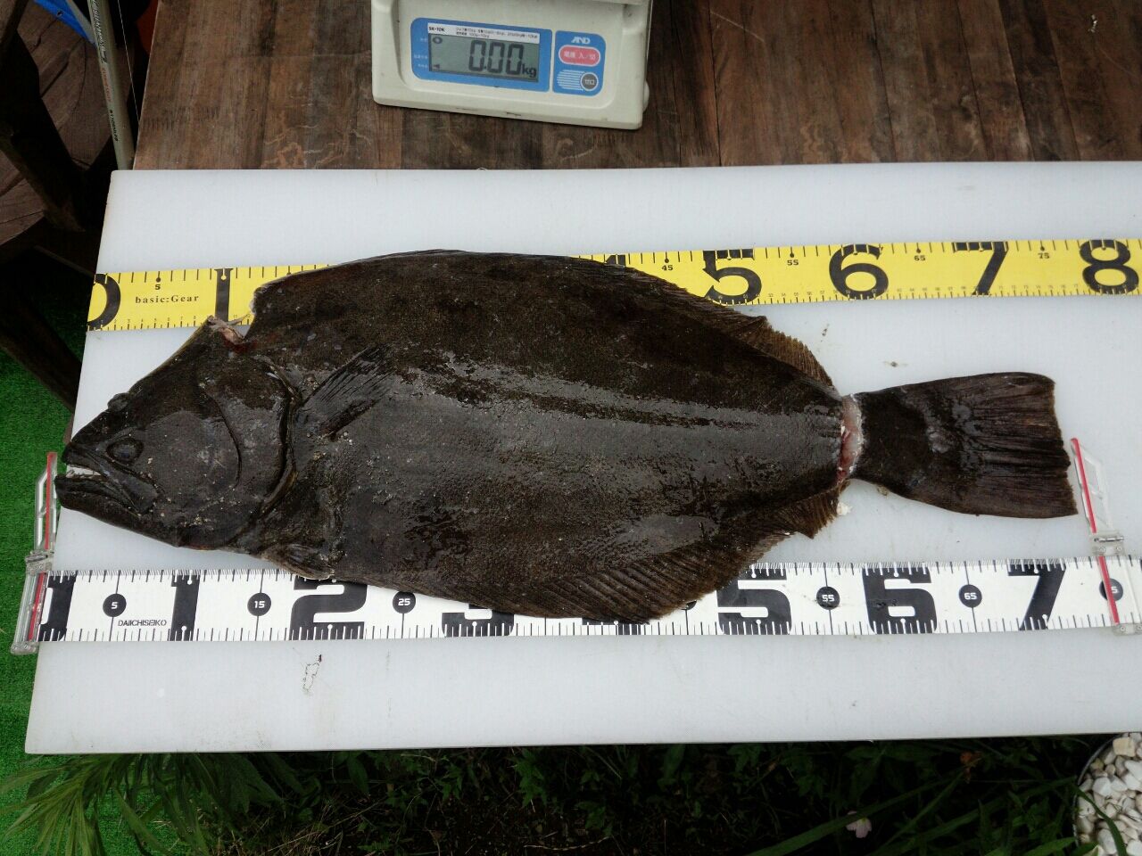 ヒラメ Fukufukumanの房総ルアー釣り日記