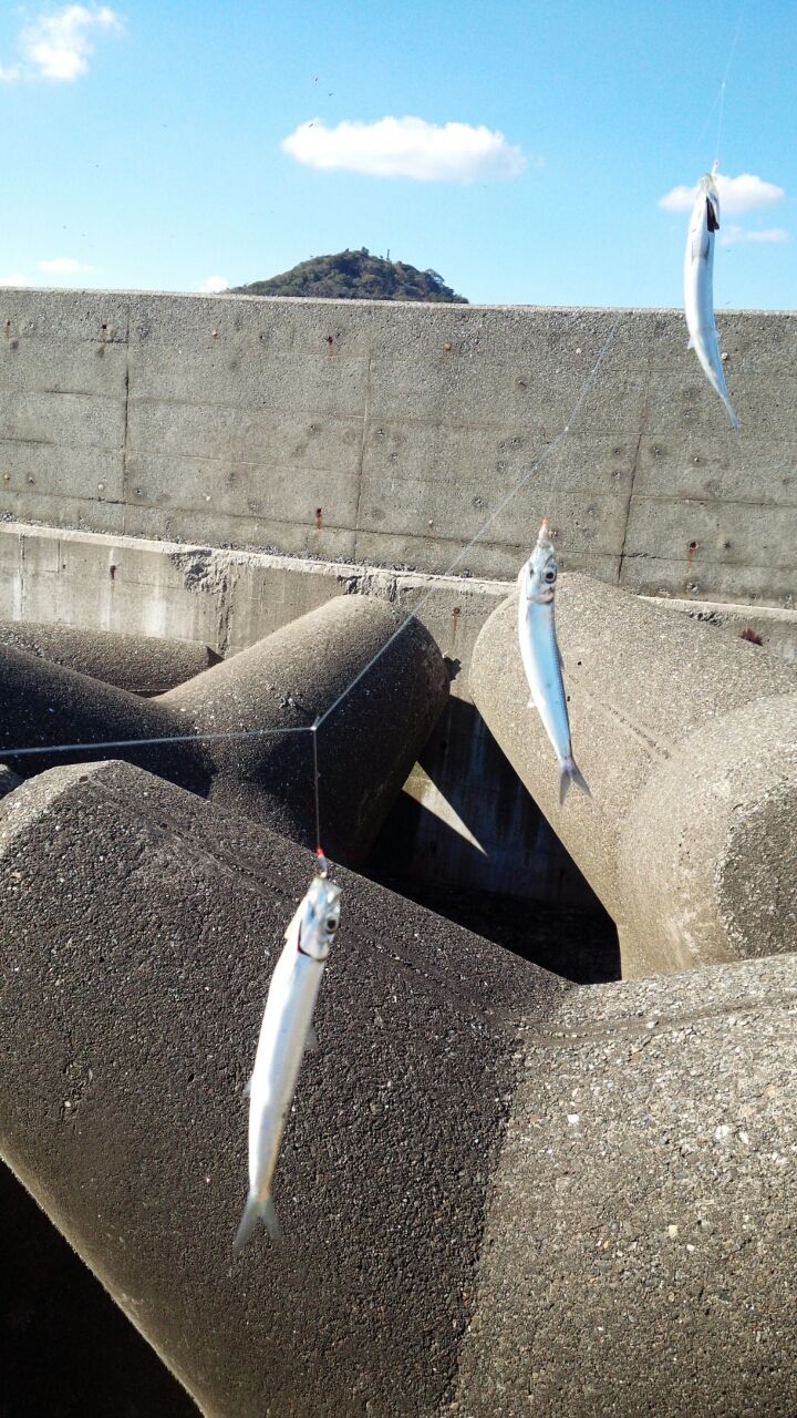 ジグサビキの使い方 Fukufukumanの房総ルアー釣り日記