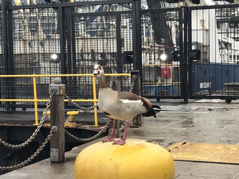 444D503E-D139-421C-89BE-C3478EC89AAE