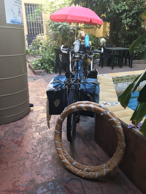 C06C1565-637E-43A1-82D5-2140DE1C36CE